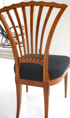 Fan back Biedermeier Chair — image 29
