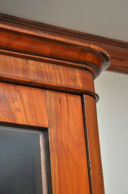 Cherry and Ebonized Biedermeier Showcase — image 3