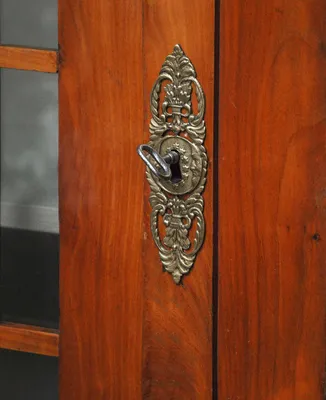 Cherry and Ebonized Biedermeier Showcase — image 5