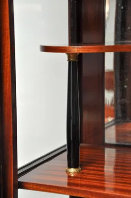 Biedermeier Mahogany Vitrine — image 5