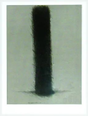 Rainer Etchings, Two from STIRNSTRANDWAND — image 16
