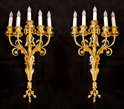 Fabulous Pair Neoclassical sconces — image 4