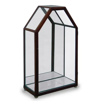 Biedermeier Small Display Case