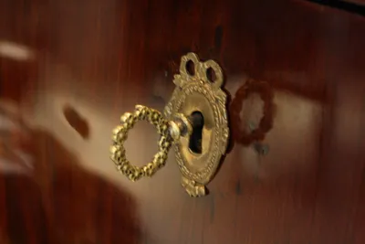 Mahogany Secretaire — image 37
