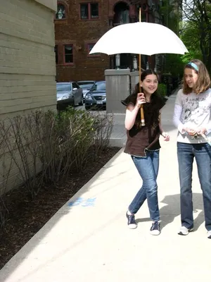 3 Umbrellas — image 34