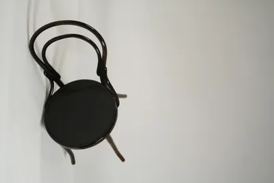 Bentwood Side Chair — image 6
