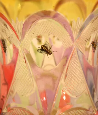 Bohemian Glass Beaker w/7 Bees — image 3