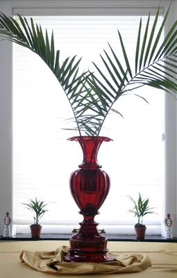 Bohemian Ruby Glass Vase — image 5