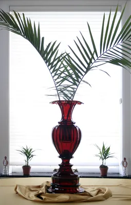 Bohemian Ruby Glass Vase — image 2