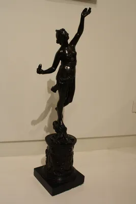 Fortuna — image 48